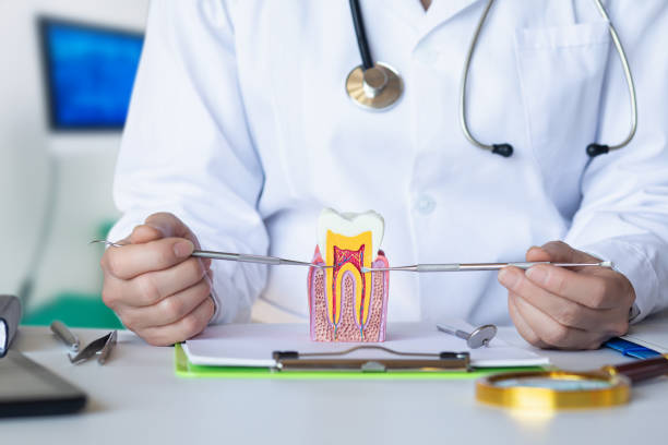 Best Emergency Wisdom Teeth Removal in Bethlehem Village, CT